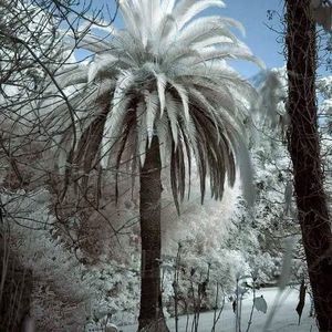 Meet your Posher, Jonna